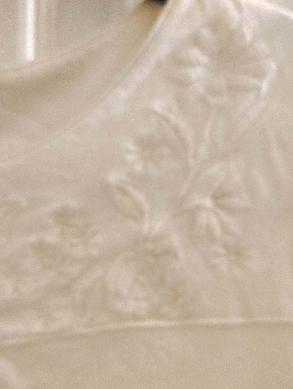 J. Jill Cream Short-Sleeve Top with Embroidered Yoke - Picture 3 of 4